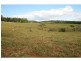 Barrine QLD 4872