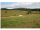 Barrine QLD 4872