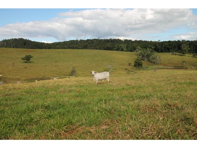 Barrine QLD 4872