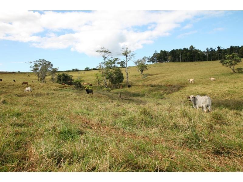 Barrine QLD 4872