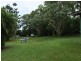 Yungaburra QLD 4884