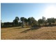 Yungaburra QLD 4884