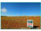 55 Jessica Road, Yungaburra QLD 4884