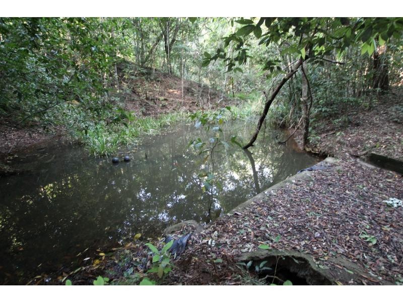 Yungaburra QLD 4884