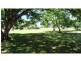 Tarzali QLD 4885
