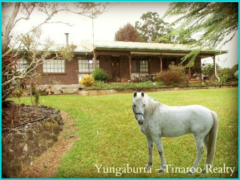 Yungaburra QLD 4884