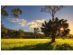 53 Carrington Road, Atherton QLD 4883