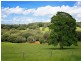 Yungaburra QLD 4884