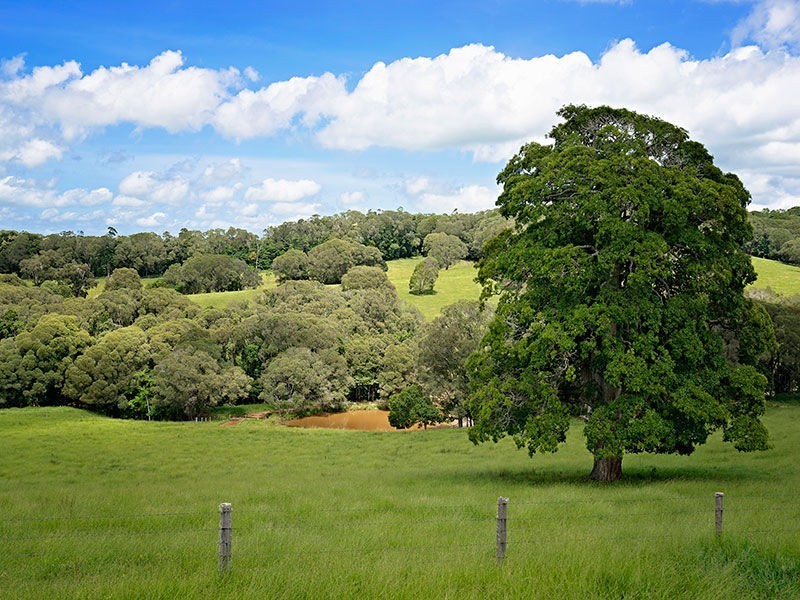 Yungaburra QLD 4884