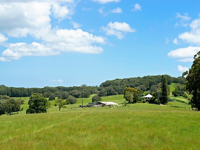 Yungaburra QLD 4884