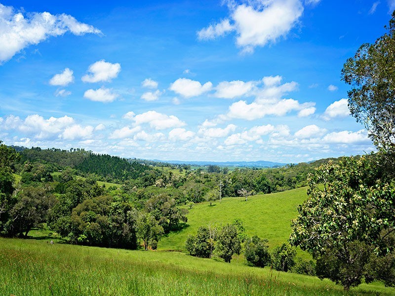 Yungaburra QLD 4884