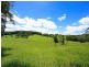Yungaburra QLD 4884