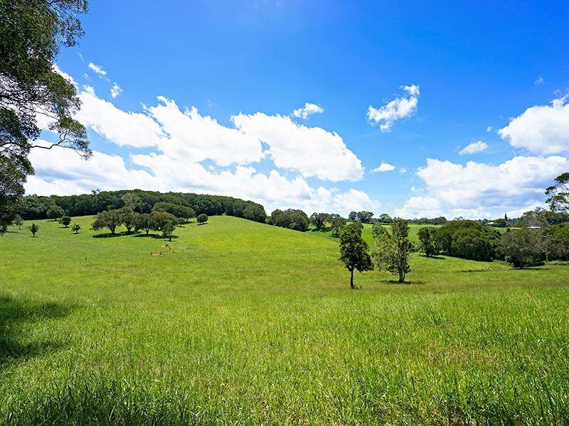 Yungaburra QLD 4884