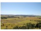 Yungaburra QLD 4884