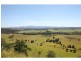 Yungaburra QLD 4884