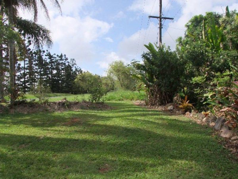 Yungaburra QLD 4884