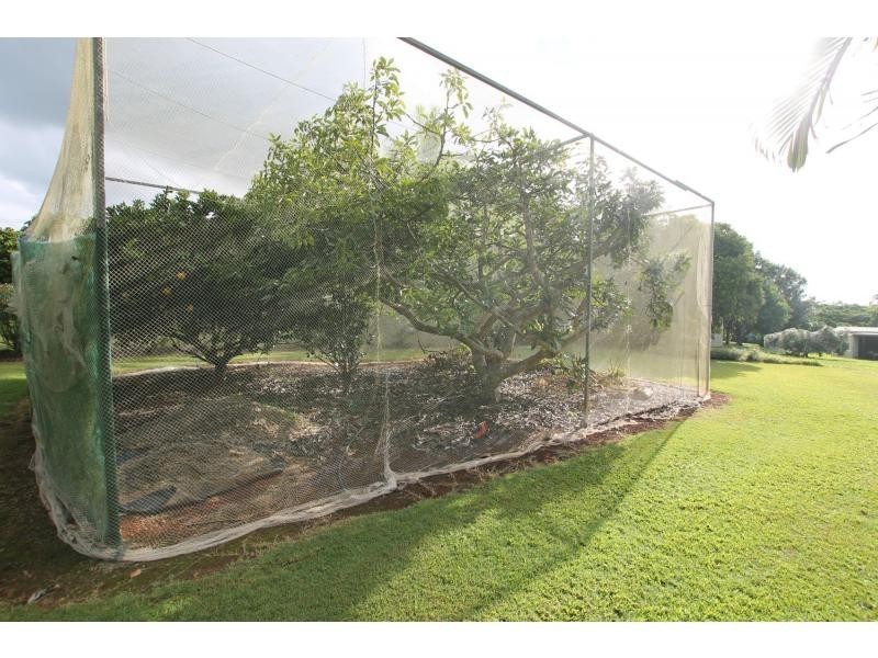 Yungaburra QLD 4884
