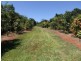 Yungaburra QLD 4884