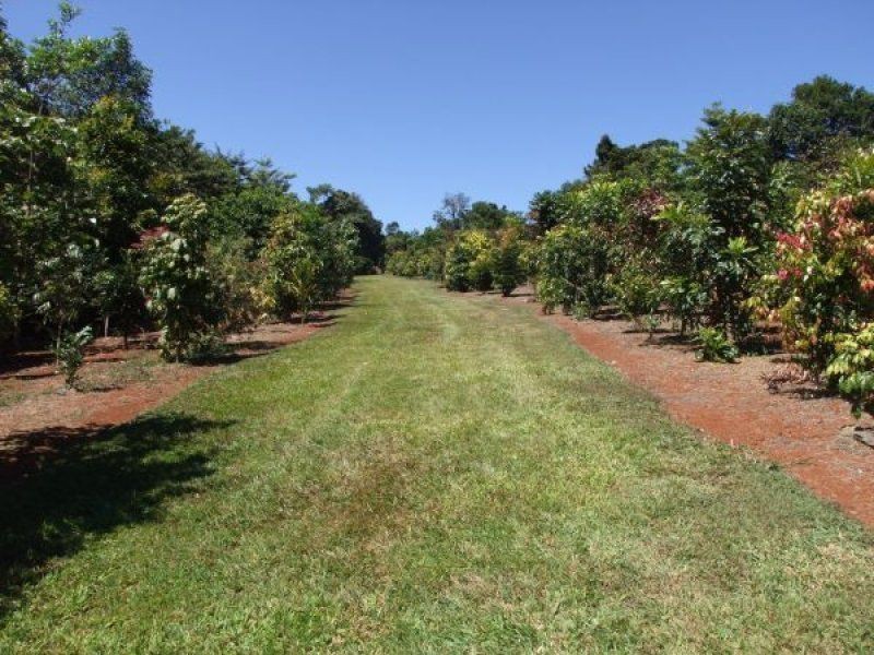 Yungaburra QLD 4884