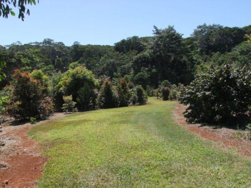Yungaburra QLD 4884