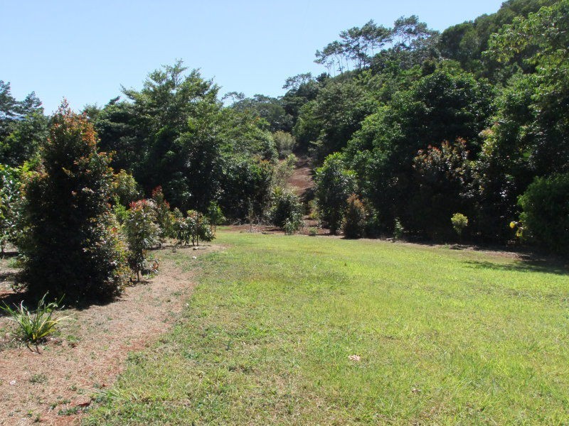 Yungaburra QLD 4884