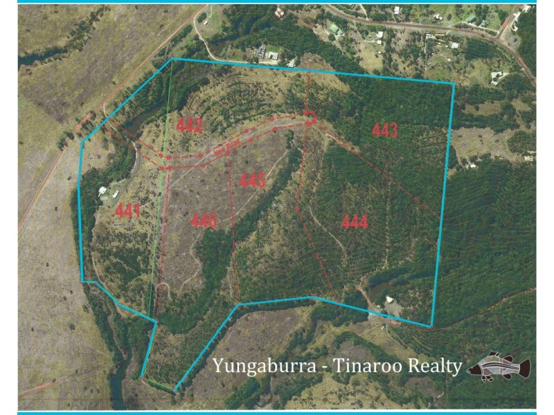 Yungaburra QLD 4884