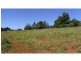 8 McLean Road, Yungaburra QLD 4884