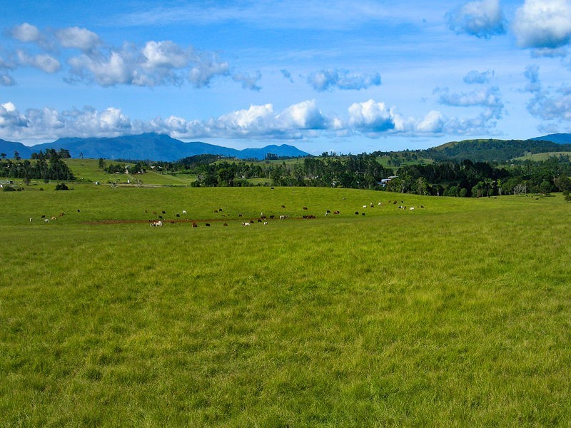 41 Jessica Road, Peeramon QLD 4885