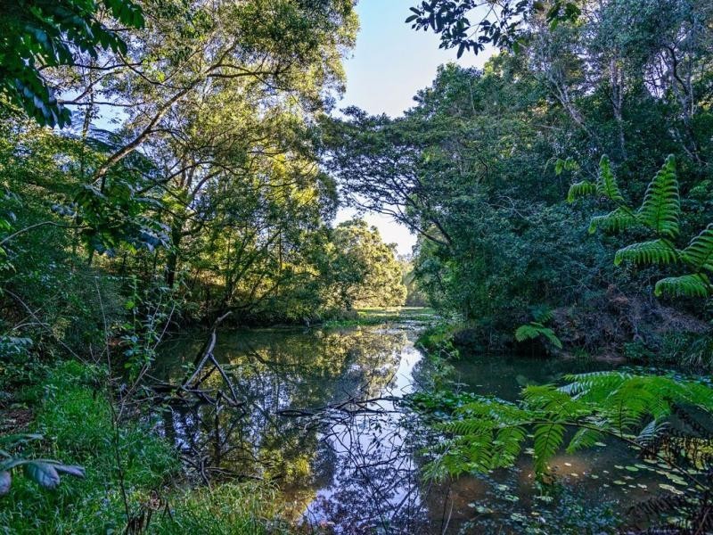 Yungaburra QLD 4884