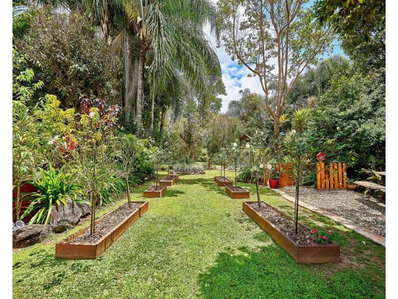 Yungaburra QLD 4884