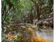 Yungaburra QLD 4884