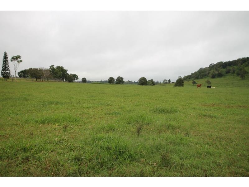 Yungaburra QLD 4884