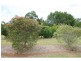 Malanda QLD 4885
