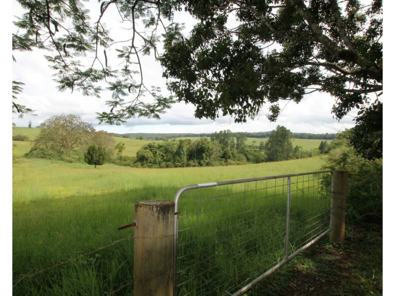 11 Gillies Range Road St, Yungaburra QLD 4884