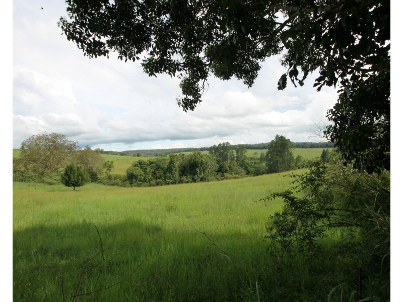 11 Gillies Range Road St, Yungaburra QLD 4884