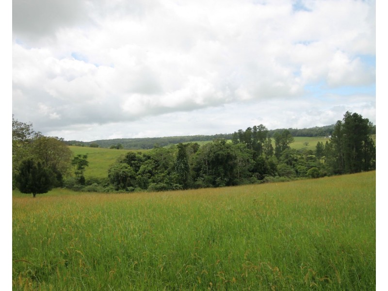 11 Gillies Range Road St, Yungaburra QLD 4884