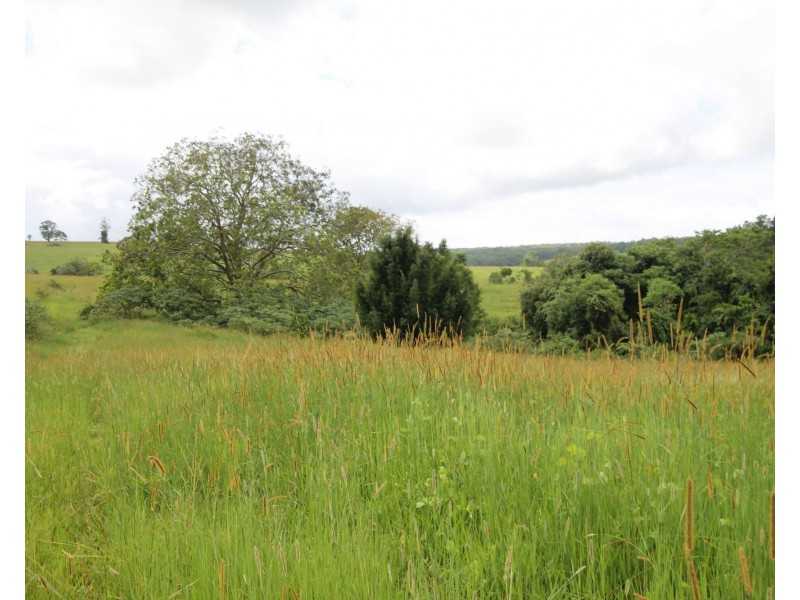 11 Gillies Range Road St, Yungaburra QLD 4884