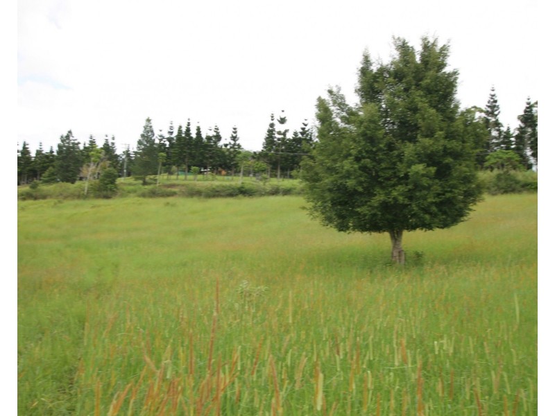 11 Gillies Range Road St, Yungaburra QLD 4884