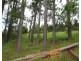11 Gillies Range Road St, Yungaburra QLD 4884