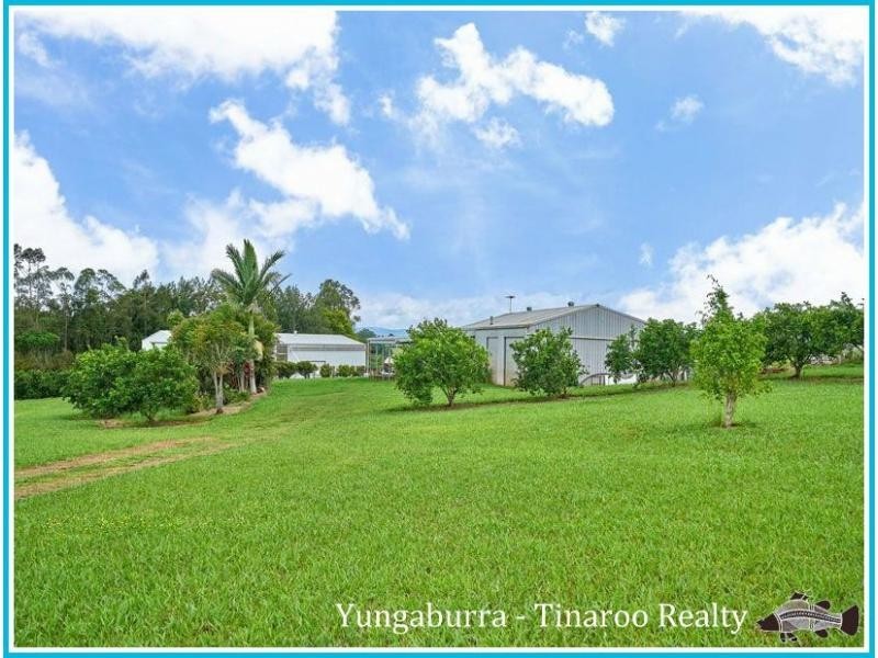 Yungaburra QLD 4884