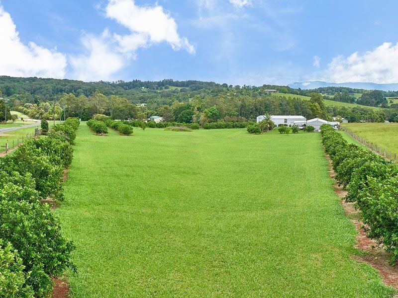 Yungaburra QLD 4884