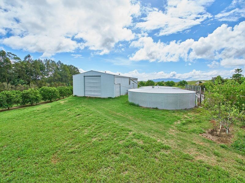 Yungaburra QLD 4884