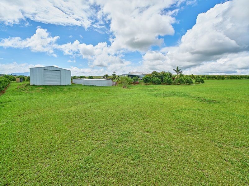Yungaburra QLD 4884