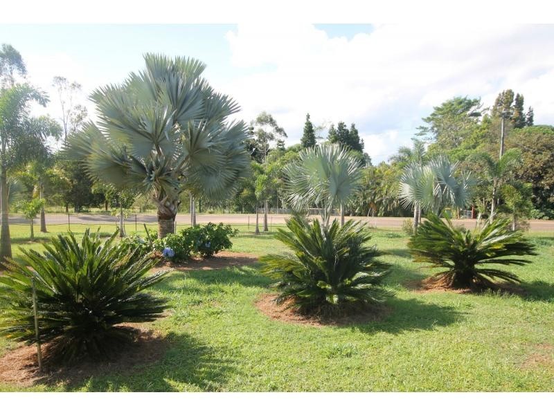 Malanda QLD 4885