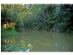 Yungaburra QLD 4884