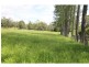 Yungaburra QLD 4884