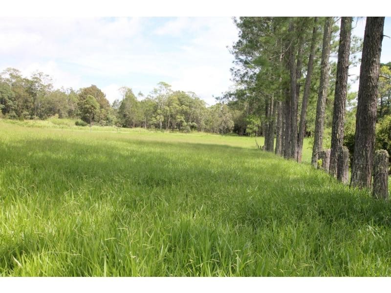 Yungaburra QLD 4884