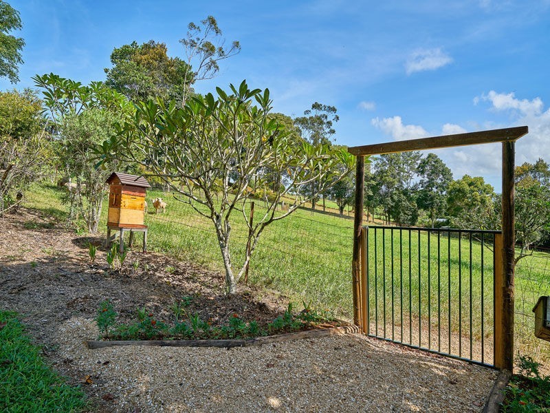 Malanda QLD 4885