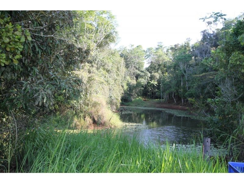 Lake Eacham QLD 4884