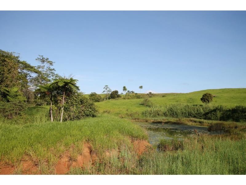 Lake Eacham QLD 4884